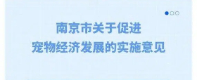 一图读懂南京市关于促进宠物经济发展的实施意见